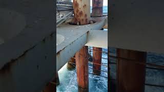 Fieldwood Energy Platform