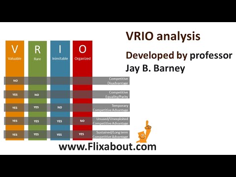 The VRIO analysis