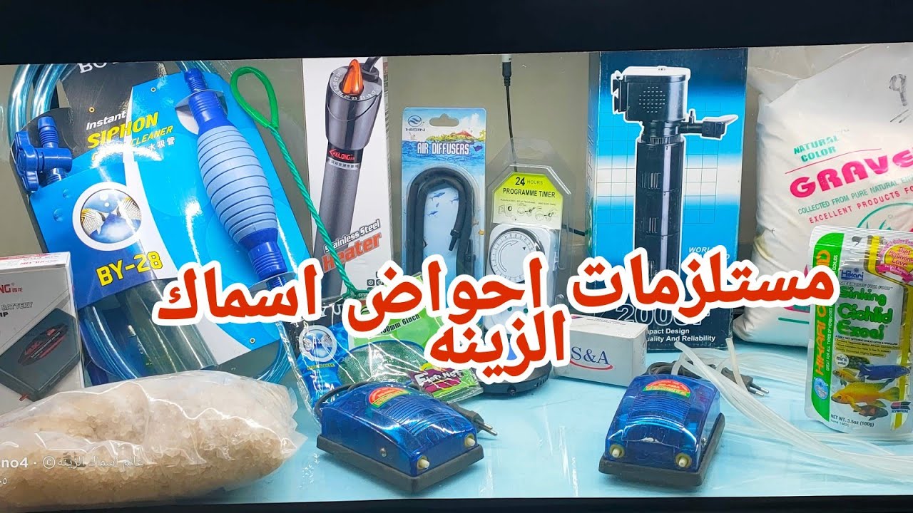 تجهيز احواض سمك الزينه وإتمام الدوره البيلوجيه(للمبتدئين)