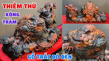 Tượng Cóc Ba Chân - Thiềm Thừ xông Trầm gỗ Trắc đỏ đen đỉnh cao nghệ thuật gỗ mỹ nghệ