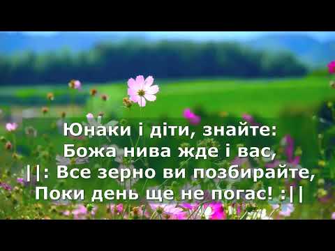 Церква Божа, піднімайся. Слова
