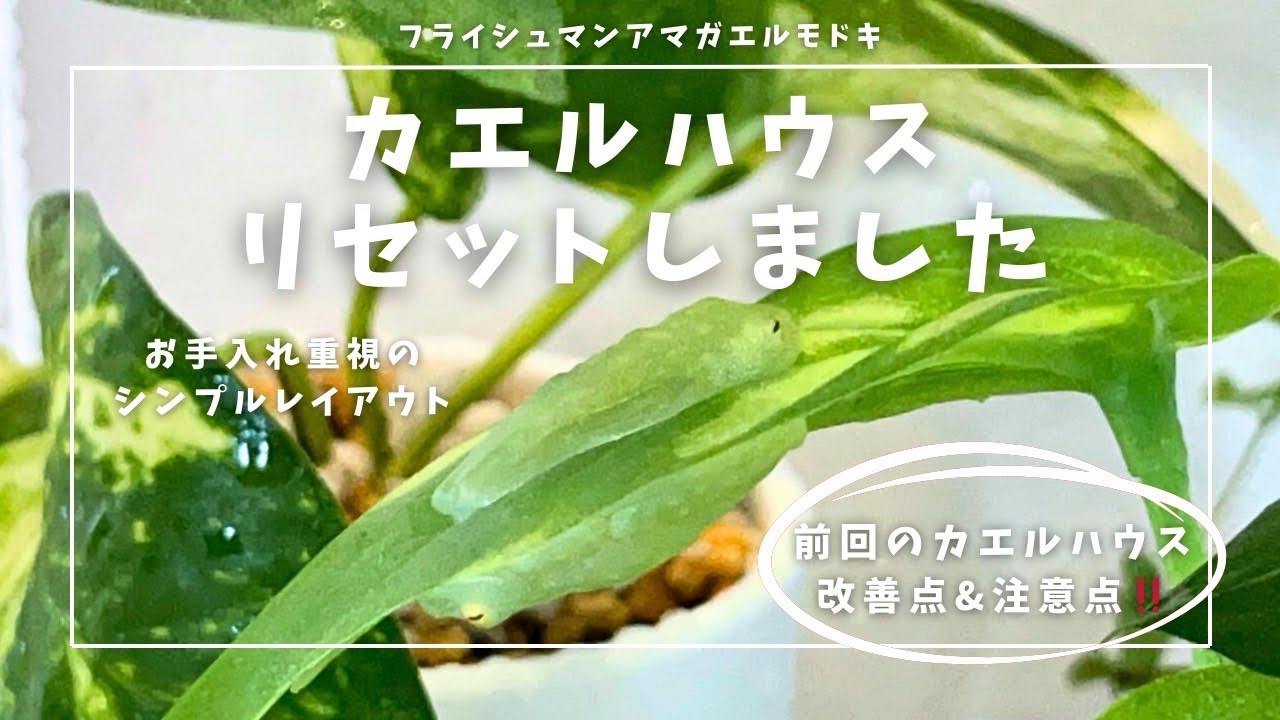 レイアウトリセットしました😭前回の改善点＆注意点‼️