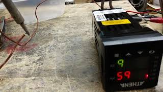 Celebrity Athena 16C Temp Sensor Test Video WIS # 7119 Net Worth