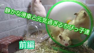 【前編】静かな回し車 vs 元気過ぎるちびっ子達 【ハムスター】Hamster  vs silent  hamster wheel