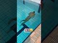 Record dapne  funny viral shortjob swimming