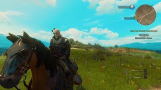 The Witcher 3 Such a beauty ruined by bugs on PS5 - sky flicker and foliage/grass pop in