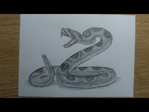 Cách vẽ một con rắn đơn giản/How to draw Snake easy