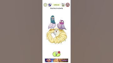 Delete Puzzle🧩Level-796 gameplay | Walkthrough #shorts #youtubeshorts #shortsfeed #Gamerzone