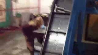 Automated Tapping Machine [A's Precision Machining]