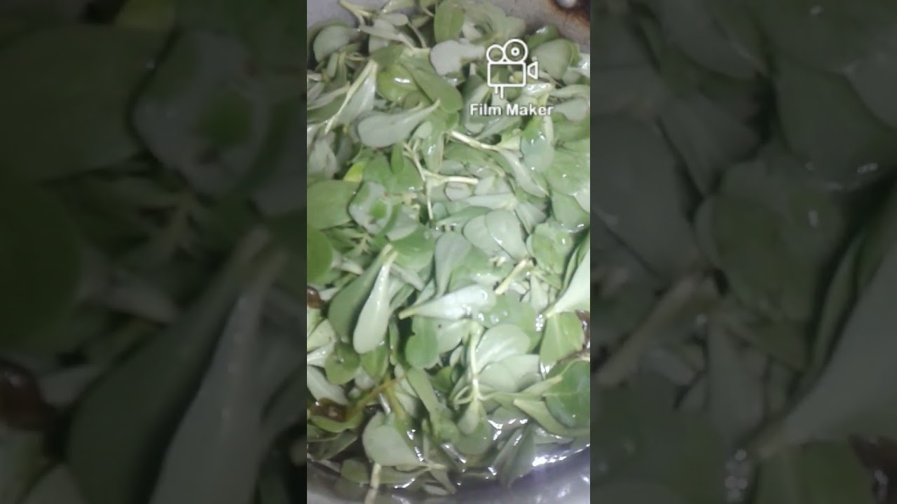 Kulfa Saag Kadhi | Kulfa Saag Recipes | Pursalane leaves Kadhi