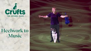 Heelwork To Music Competition Winner | Crufts 2024 by Crufts 5,111 views 3 weeks ago 5 minutes, 43 seconds