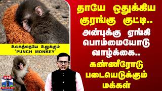 Download Lagu Deep Dive | தாயே ஒதுக்கிய குரங்கு குட்டி.. அன்புக்கு ஏங்கி பொம்மையோடு வாழ்க்கை.. MP3