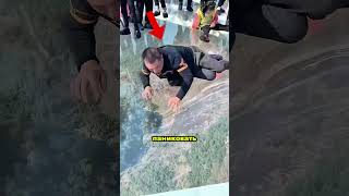 Работа на стеклянном мосту, где паника приносит деньги 💰😱#animationmeme