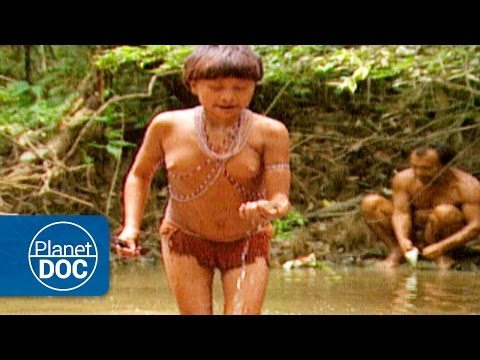 Tribu aislada en el Amazonas. Yanomamis