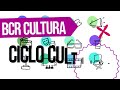 🎵 La Morocha en el Ciclo Cultural BCR 2022