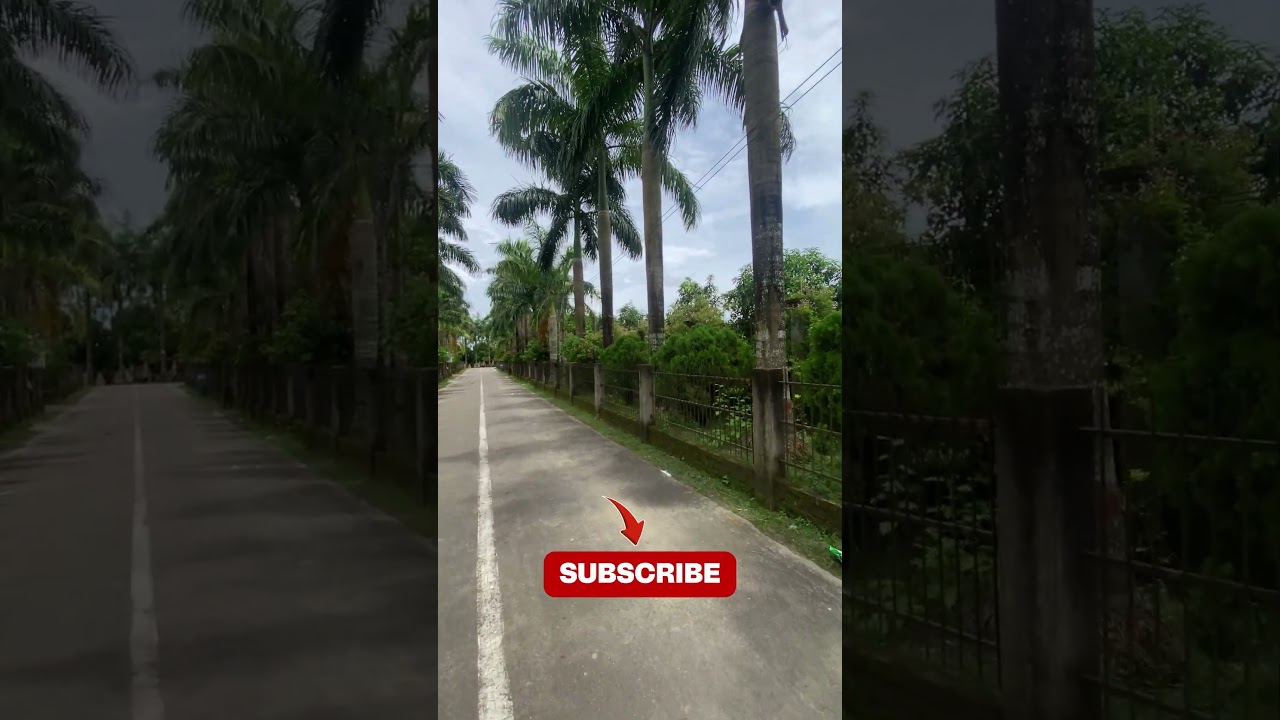 ভাই একটা Subscribe করেন প্লিজ🙏🥹 