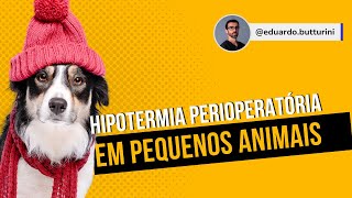 Hipotermia perioperatória em pequenos animais