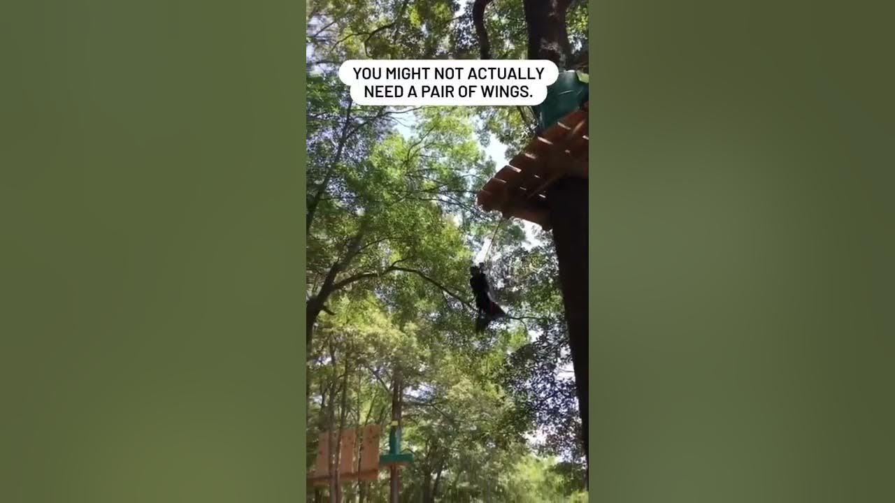 Flying through Treetop Quest Greenville YouTube