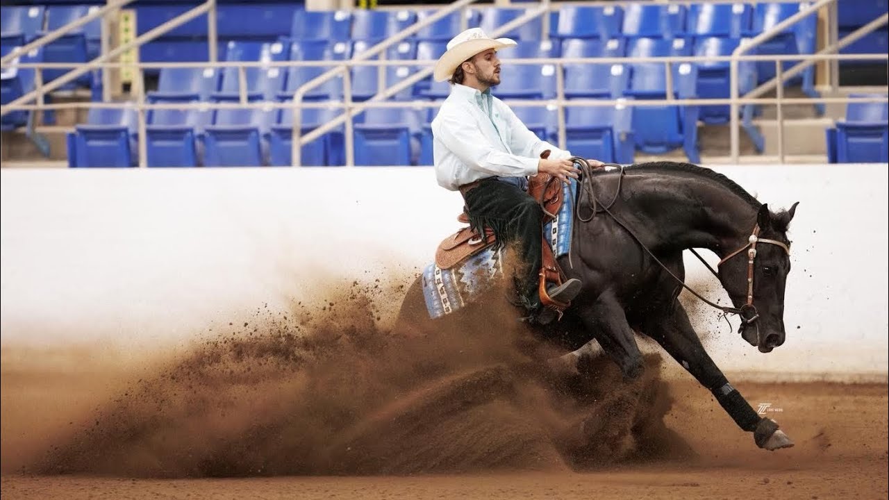 A BLACK VOODOO - AZRHA 2025 Best Of The West Open Futurity 