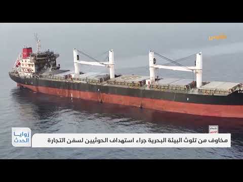 مخاوف من تلوث البيئة البحرية بعد غرق سفينتين في البحر الأحمر جراء هجمات الحوثي | تقرير: محمد العليمي