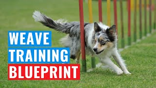 Weave Pole Training Success Blueprint: Integrating Your Goals & the Methods | Dog Agility