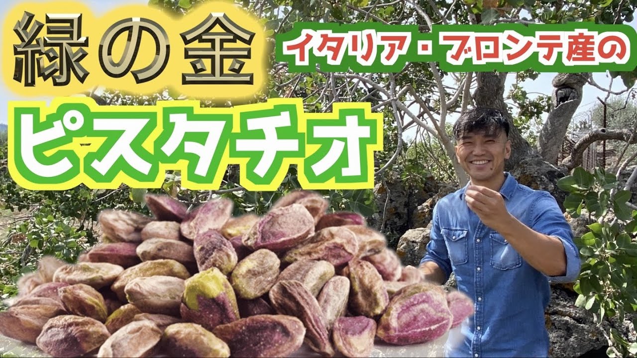 Have you ever seen a pistachio tree? Enjoy the exquisite, small