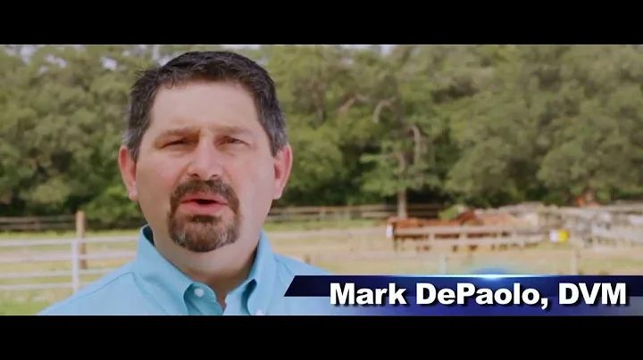 Horse Hair Analysis by Mark DePaolo, DVM