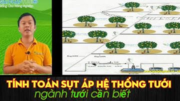 Hướng dẫn đỉnh cao thiết kế hệ thống tưới hiệu quả 99% bằng pressure drop calculator