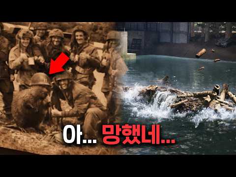 내가 부순 댐의 주인이 전쟁에 참전했던 비버였다...