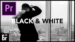 Black and White in Premiere Pro screenshot 3