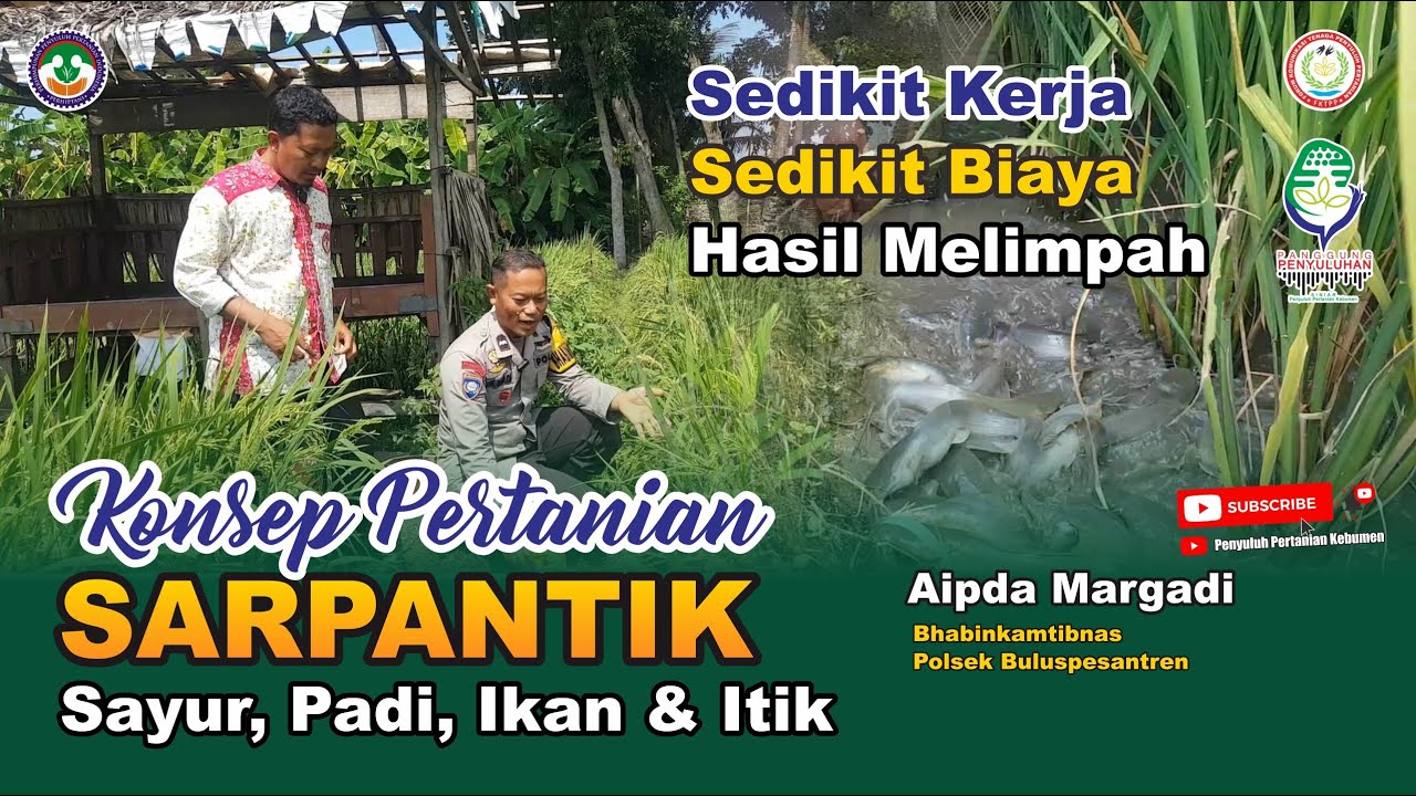 Konsep Pertanian SARPANTIK (Sayur, Padi, Ikan dan Itik) //Aipda Margadi
