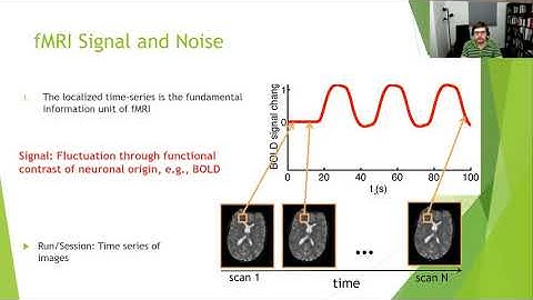 fMRI Denoising Techniques
