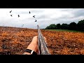 Early Season Goose Hunting Over Sweet Corn Field