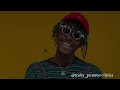 Kofi Mole Me Ne Woaa Lyrics Video mp3