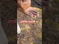 शेतकरी#शेती#shetkari #farming#shorts#farmer #marathi#dialogue#yt #shortviral#vairal#video