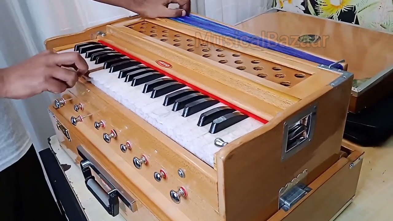 Exotic Pump Organ Instrument | 2 Reed | Compact Portable Concert