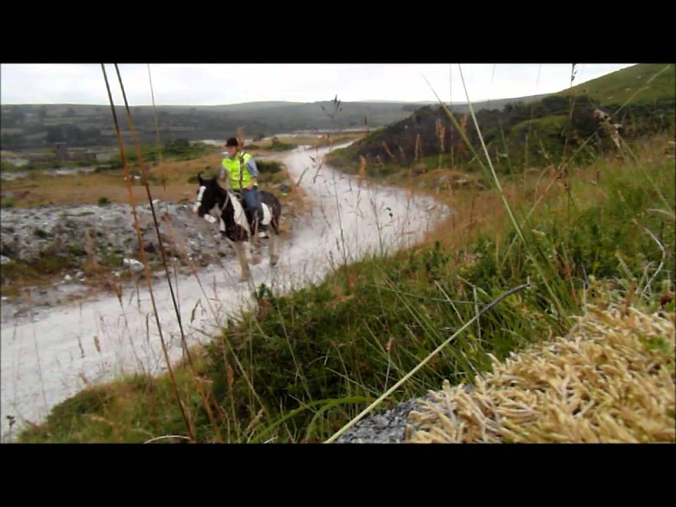 parallelism structure il spread my w i n g s and il learn how to f l y ! !