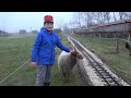 Pályakarbantartás után jutalom. Vasút 14