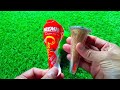 Satisfying ASMR Candy Unboxing 🍬 Colorful Rainbow Lollipops & Chocolate Eating Sounds