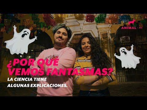 Vídeo: Los Científicos Han Explicado Por Qué La Gente Ve Fantasmas - Vista Alternativa