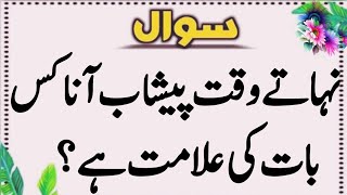 Top Islamic Questions Answers - UrduQuiz - Islamic Paheliyan - Islami SawalJawab - Islamic Quiz | 08 screenshot 5