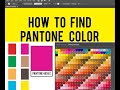 EASY WAY TO ADD PANTONE COLOR NUMBER IN ADOBE ILLUSTRATOR