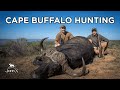 Cape Buffalo Hunting | Lone Star Outdoor Show in Africa | John X Safaris