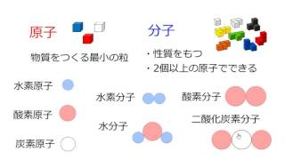 3. 分子(サムネイル画像)