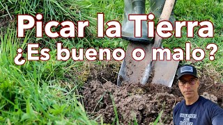 ¿Debo picar o labrar la Tierra? “No dig Garden”