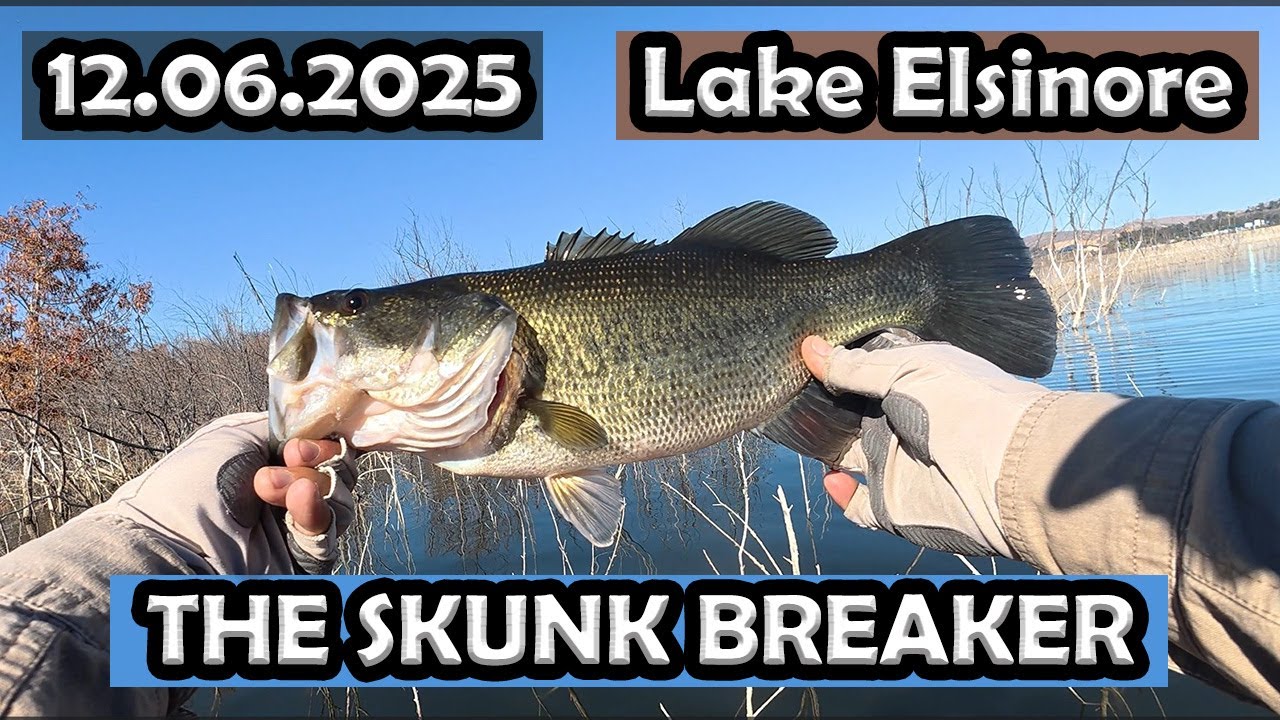 Ловля окуня на озере Эльсинор | 1 рыба спасла мой день!