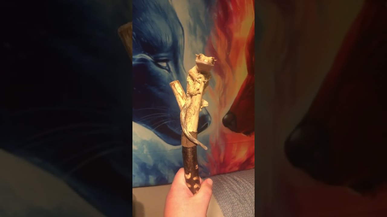 Crested gecko on a walking stick 