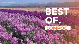 a small city with beautiful flower fields | Explore the best of Lompoc California #flowers #cali