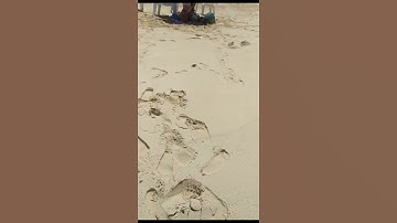 سورة المرسلات