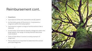 Designating the Principal Diagnosis